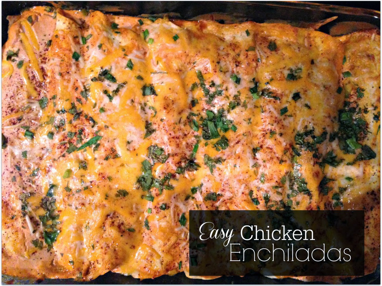 Easy Chicken Enchiladas