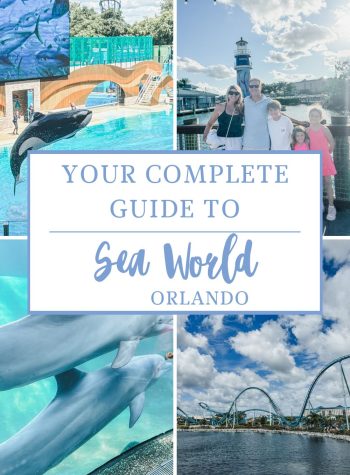 Guide to Seaward Orlando