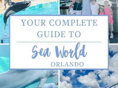 Guide to Seaward Orlando